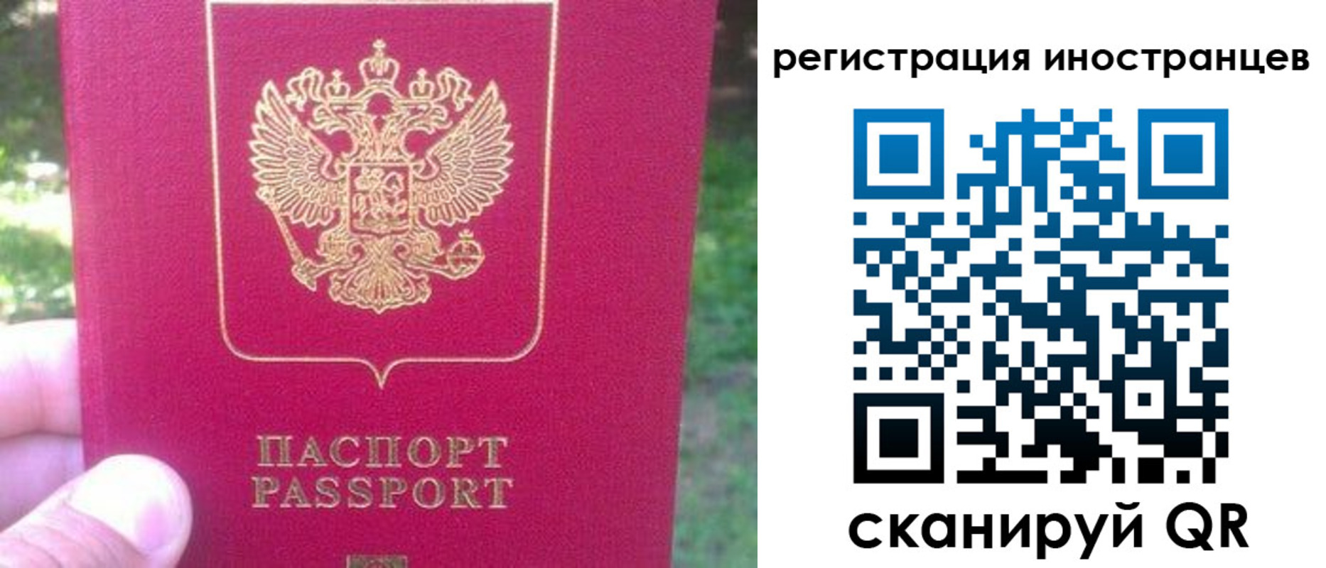 временная регистрация законно в Стародубе